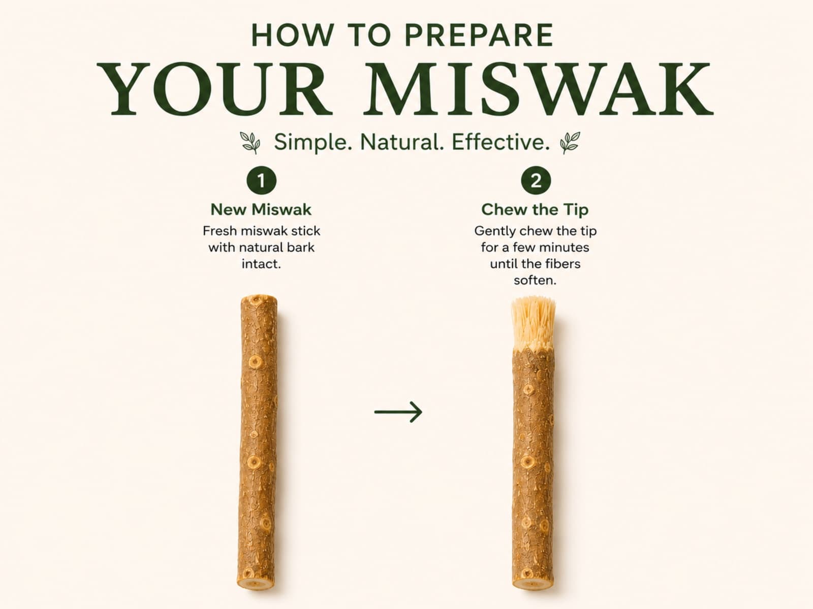 Organic miswak sticks (Salvadora persica) in Earthy Craft Goods packaging — natural biodegradable toothbrush view 4