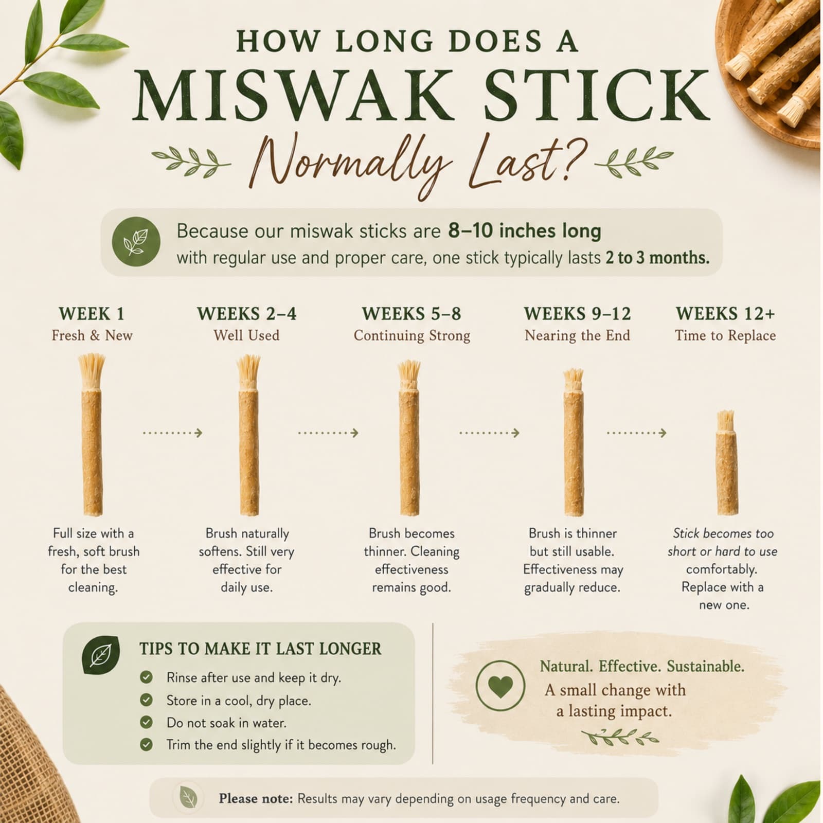 Organic miswak sticks (Salvadora persica) in Earthy Craft Goods packaging — natural biodegradable toothbrush view 7