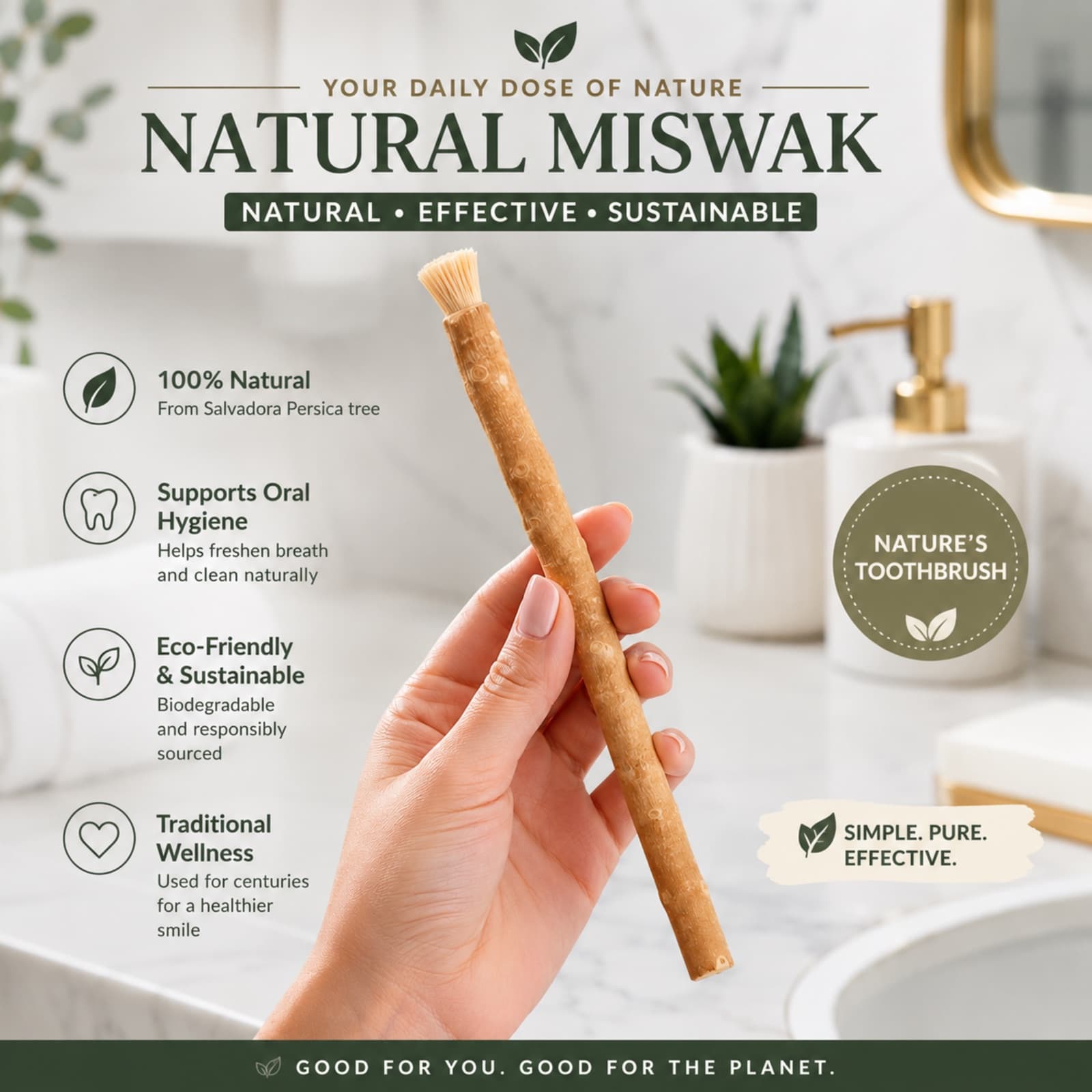 Organic miswak sticks (Salvadora persica) in Earthy Craft Goods packaging — natural biodegradable toothbrush view 2