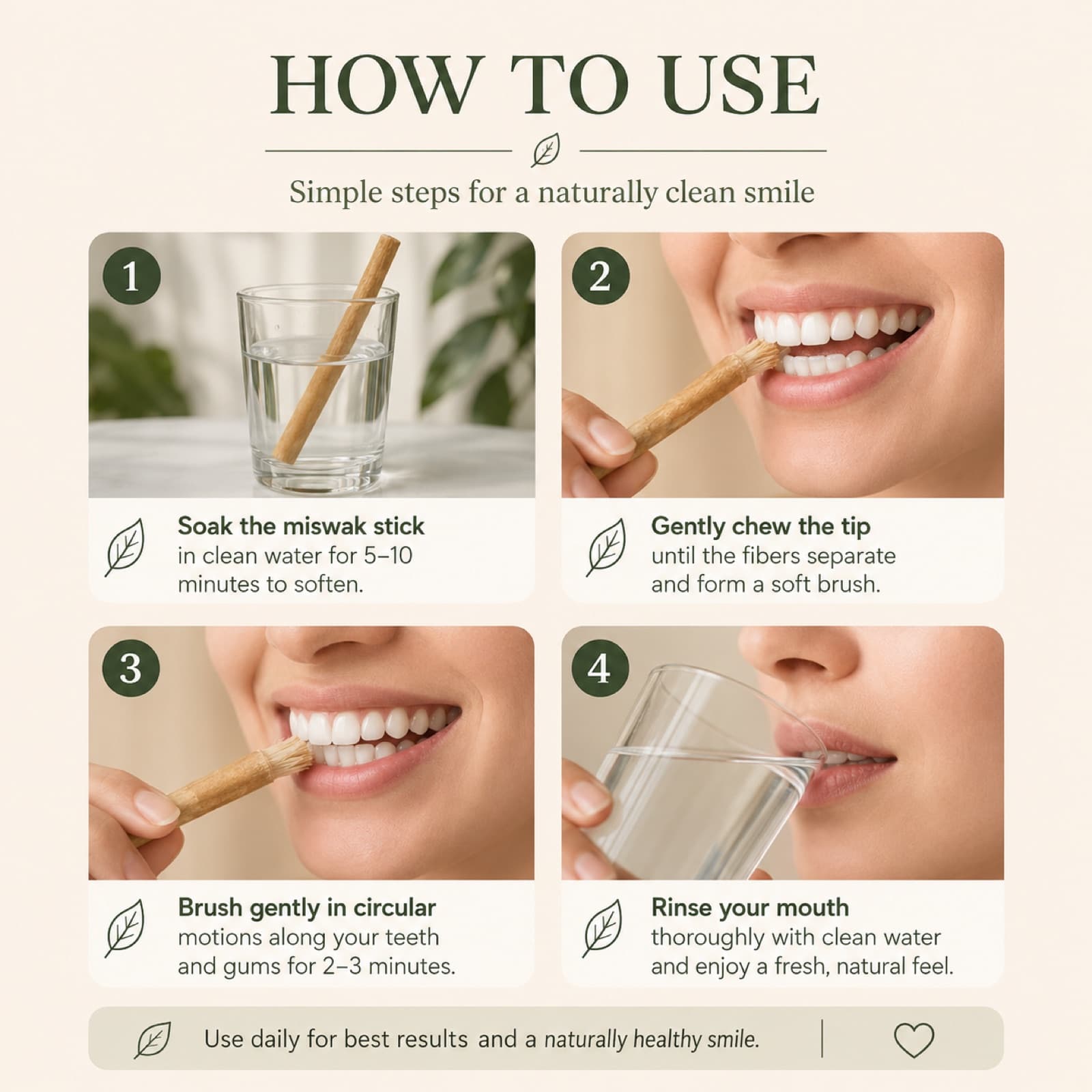 How to use a miswak in four steps: soak in water, chew the tip to form a brush, brush in circular motions, rinse your mouth